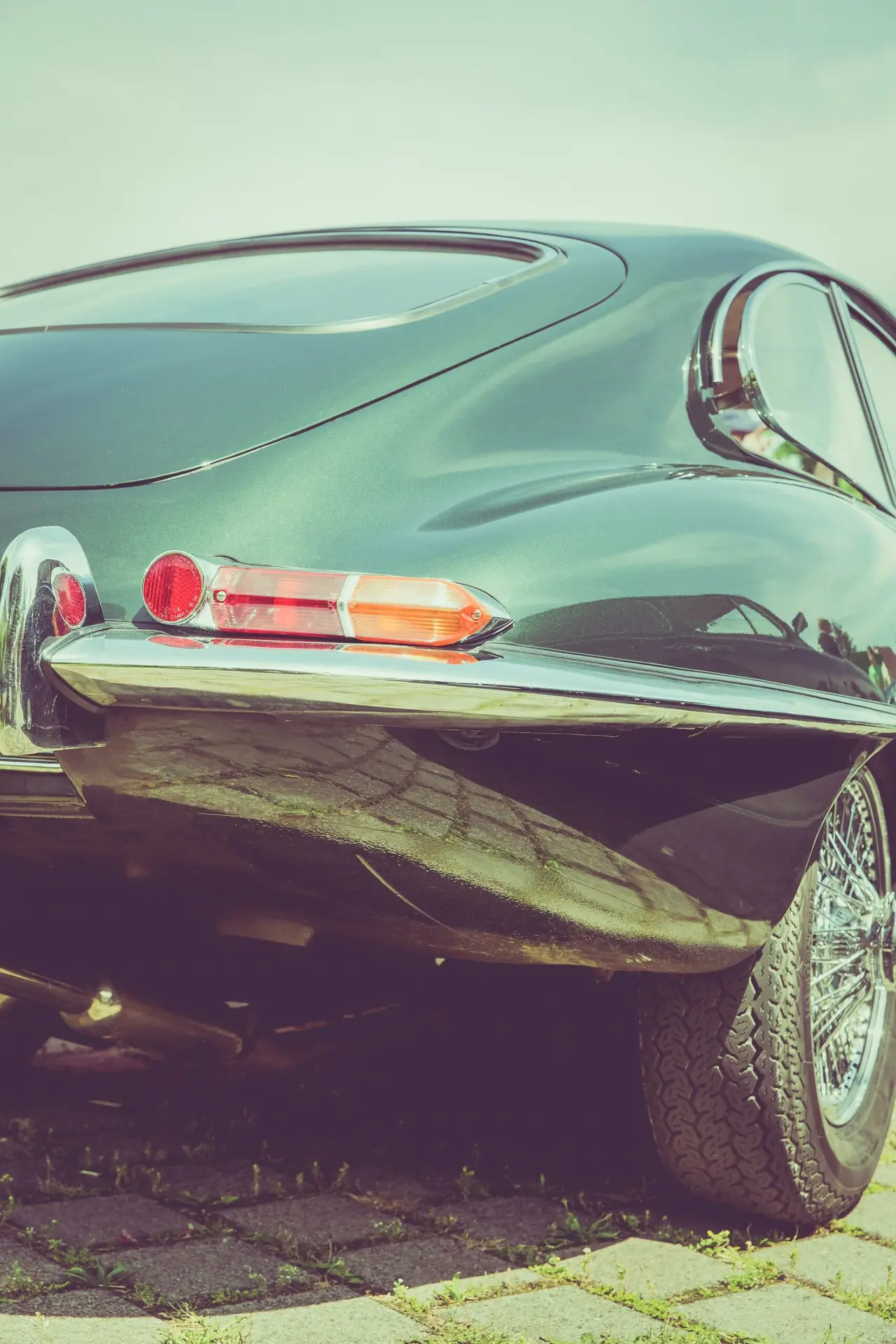 Jaguar E-Type Rear View