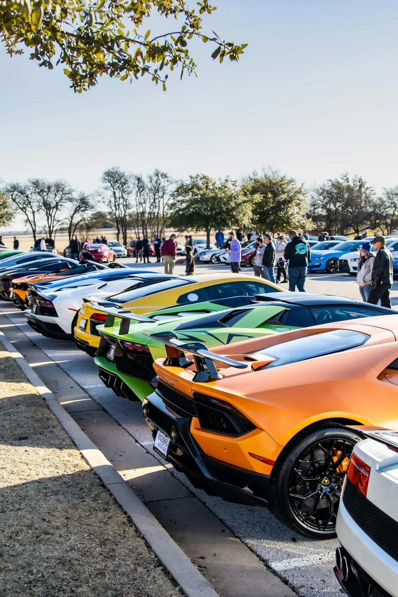 Lamborghini Cars Aligned on a Shiny Day